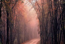 21比3，羽坛第6人！翁泓阳疯狂一胜夺赛季首冠，巡回赛大满贯首人.