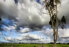 151球，巴萨是西甲历史上获得乌龙球最多的球队.