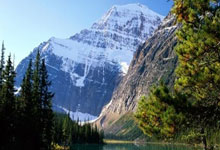 2025武汉马拉松鸣枪起跑.