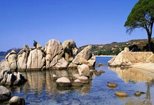 1-4落后先丢赛点，威尔逊逆转罗伯逊率先闯入球.